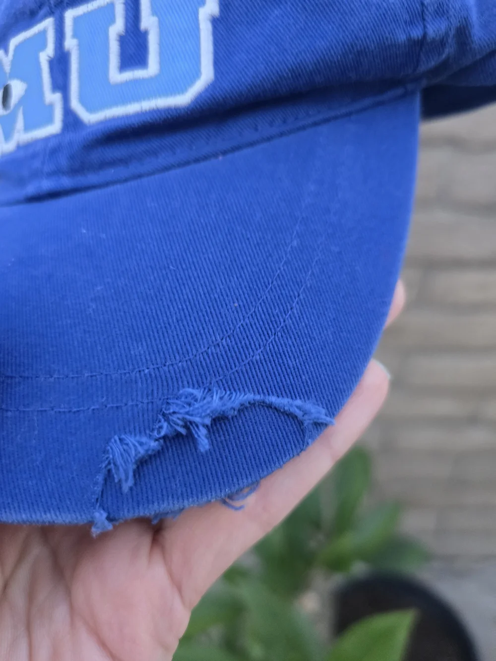 Disney baseball hat